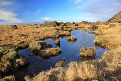 An der Paradise-Cave on the road
