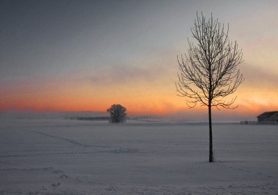 Wintermorgen bei Minus 20°C an der Zwickauer Mulde